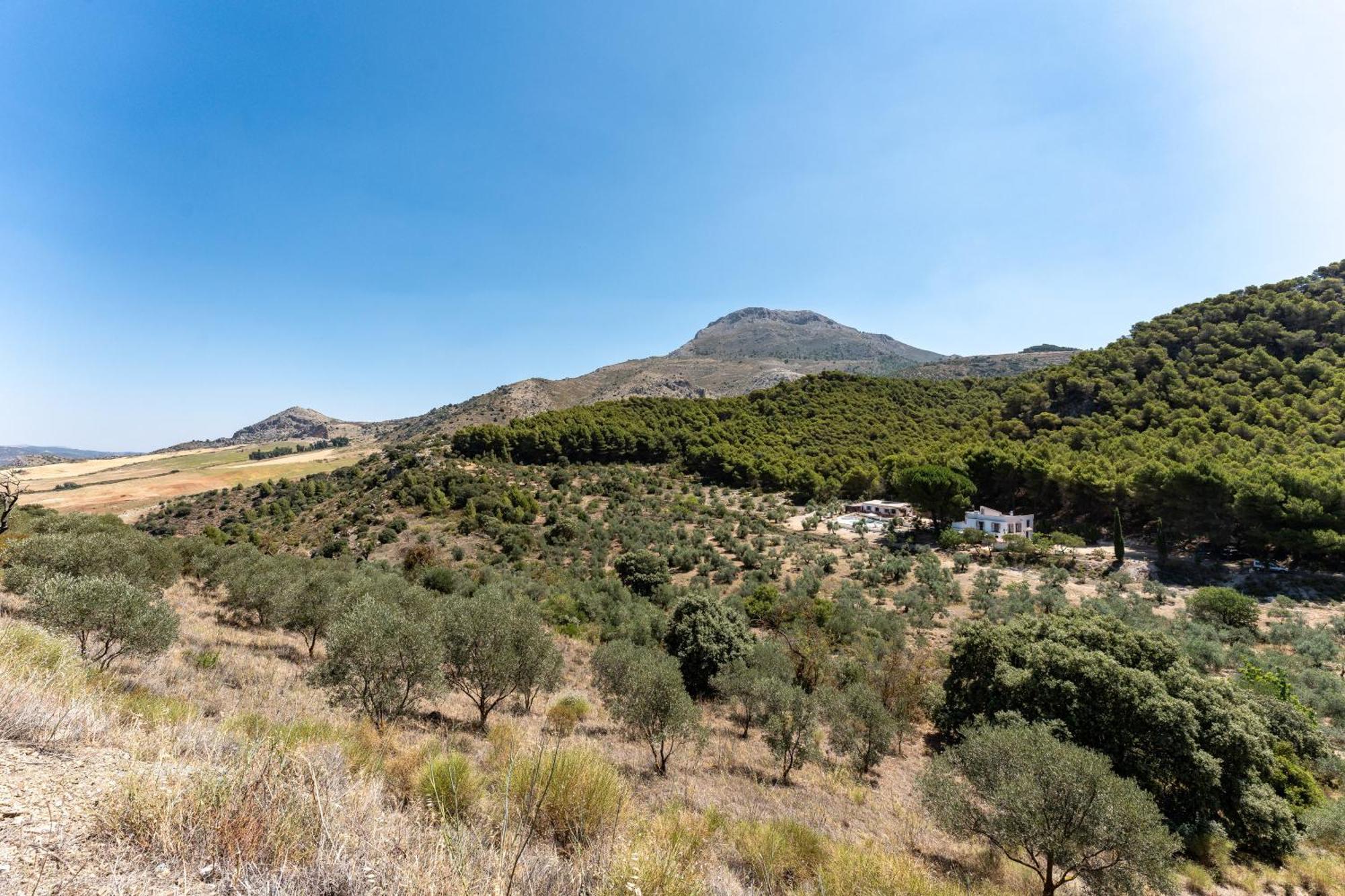 Cortijo La Zahurdilla Yunquera エクステリア 写真